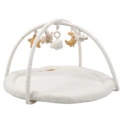 Babygym Newborn