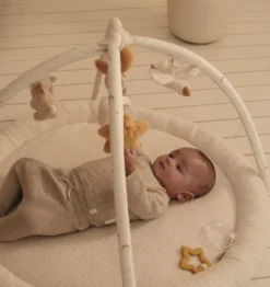 Babygym Newborn