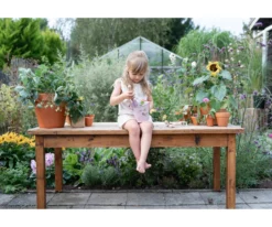 Fairy Garden Hink Pink