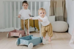 Lära Gå-vagn Blå