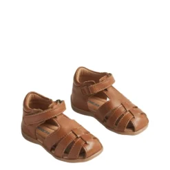 Robbie Sandaler Cognac