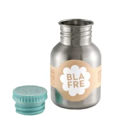 Stålflaska 300 Ml Blue/green