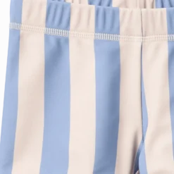 Swim Shorts Niki Bold Blue Stripe